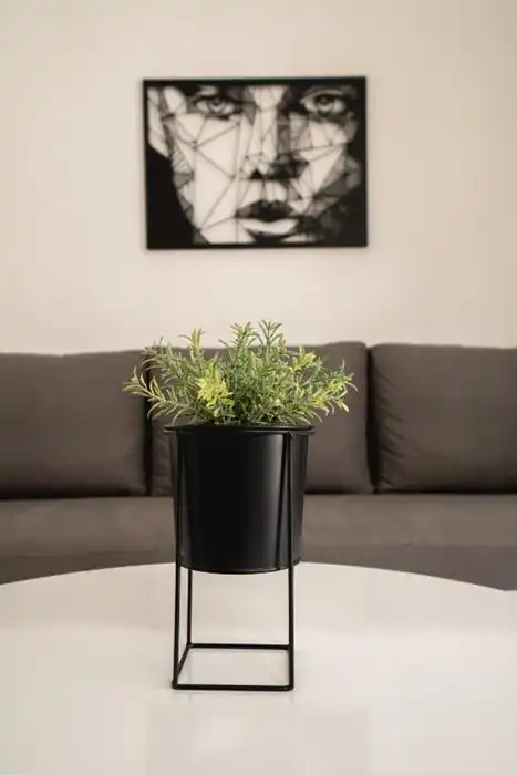 Fox Apartment thumbnail 12