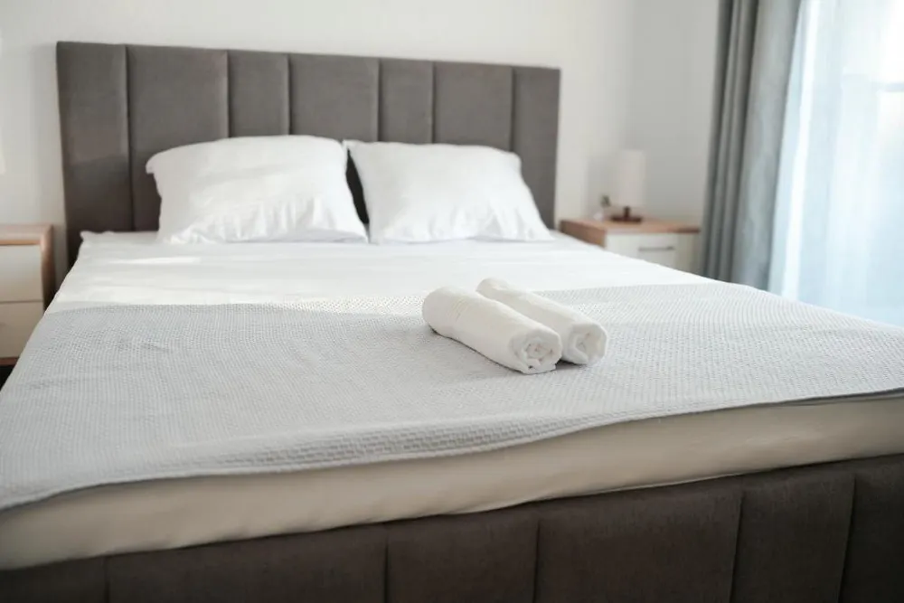 Olive Apartments thumbnail 6