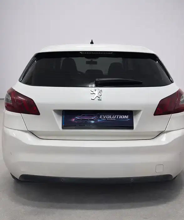 Evolution Tint Studio thumbnail 9