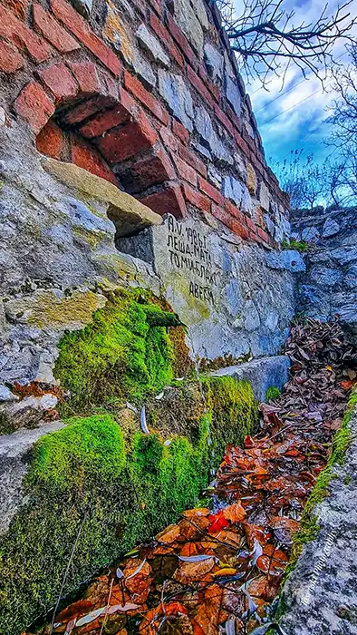 Село Ума thumbnail 2