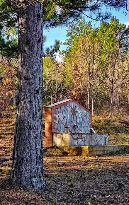 Село Ума thumbnail 3