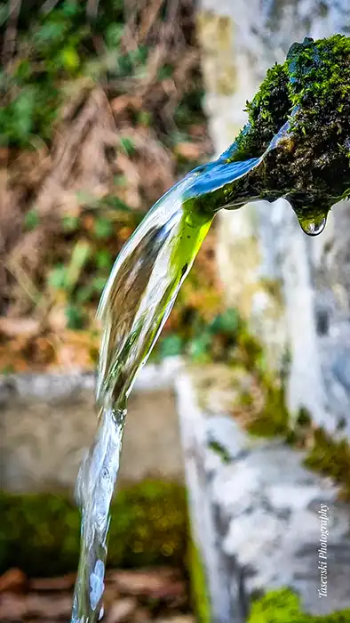 Село Ума thumbnail 4