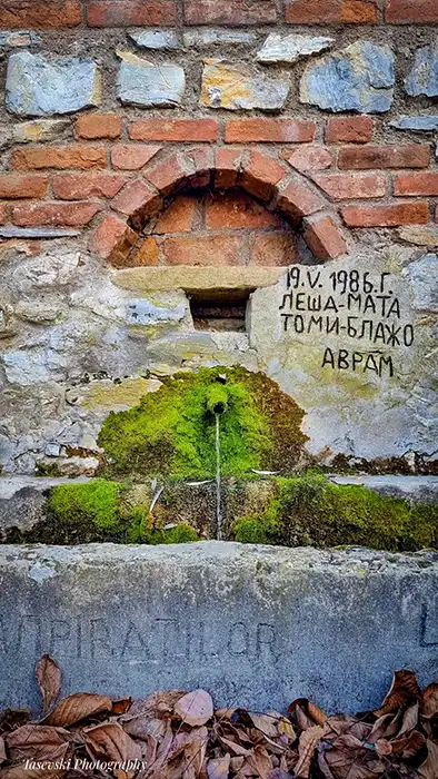 Село Ума thumbnail 7