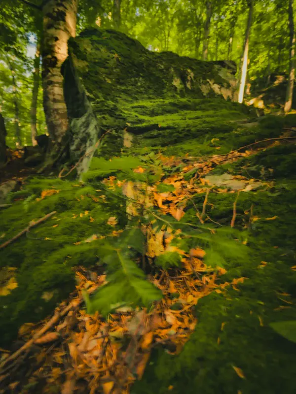 Смрдлива Вода thumbnail 10