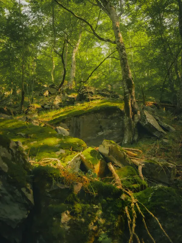 Смрдлива Вода thumbnail 11