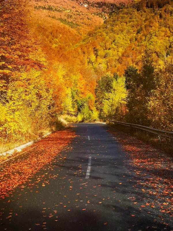 Смрдлива Вода thumbnail 2