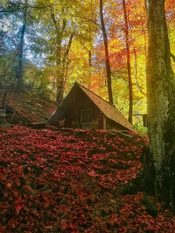 Смрдлива Вода thumbnail 4