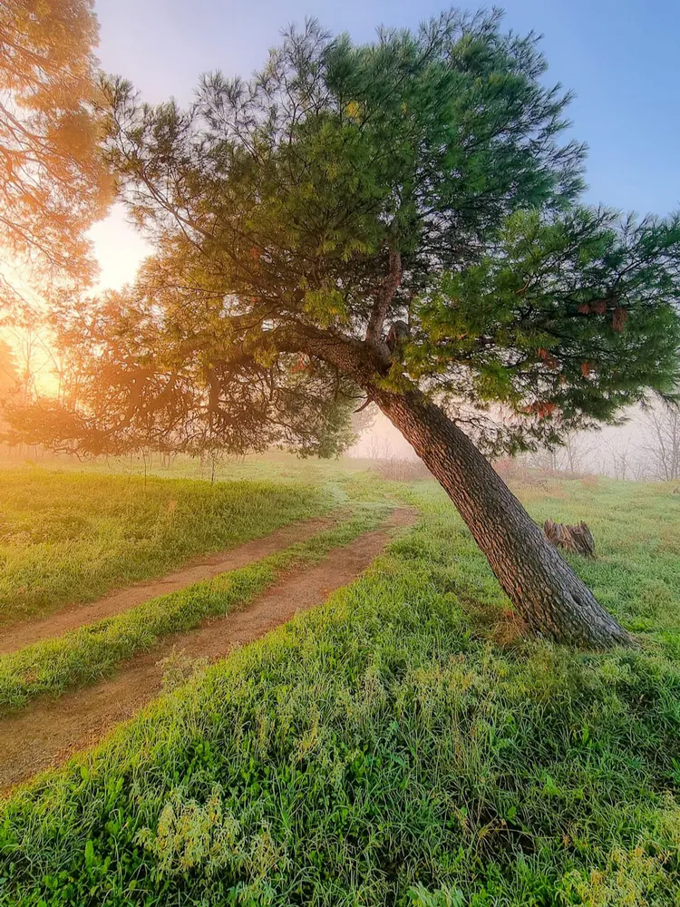 Археолошки локалитет Вардарски Рид thumbnail 3