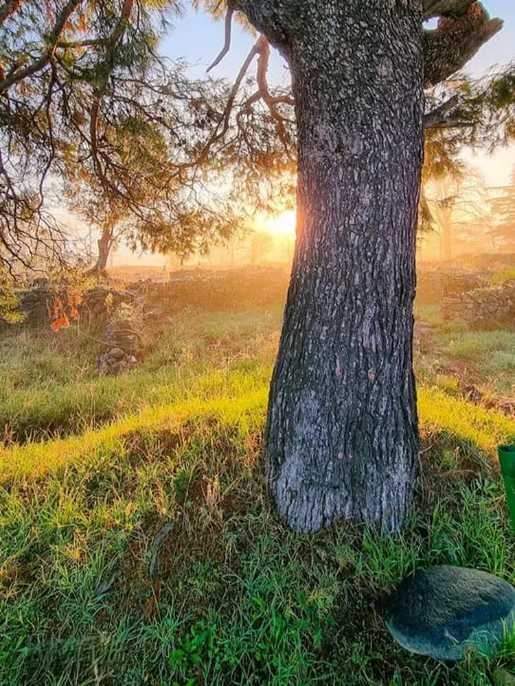 Археолошки локалитет Вардарски Рид thumbnail 4