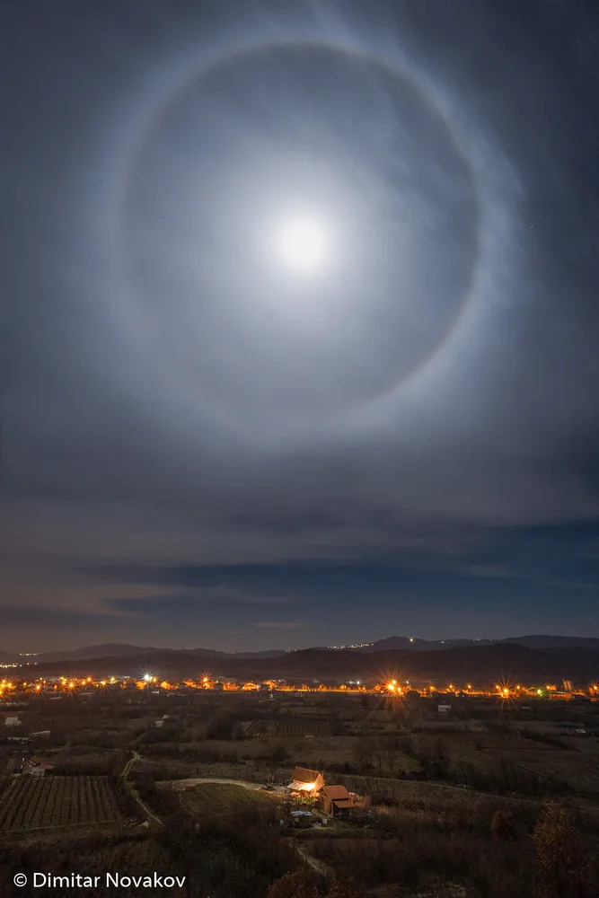 Dimitar Novakov - photo 9