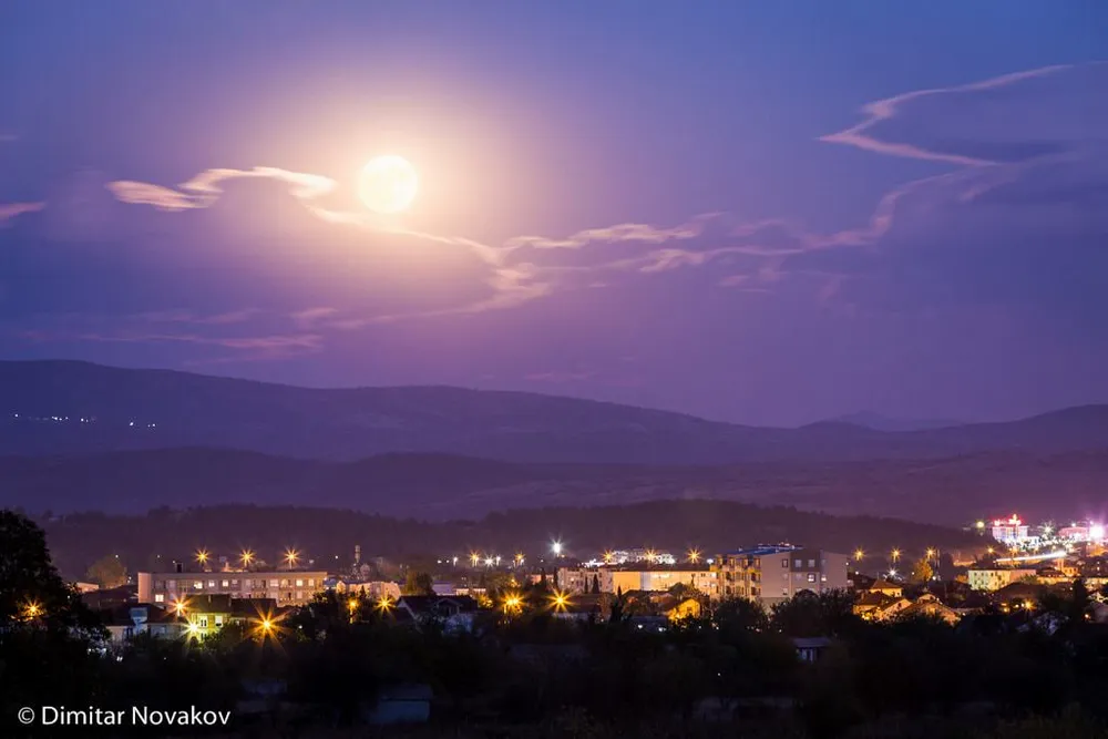 Dimitar Novakov - photo 10