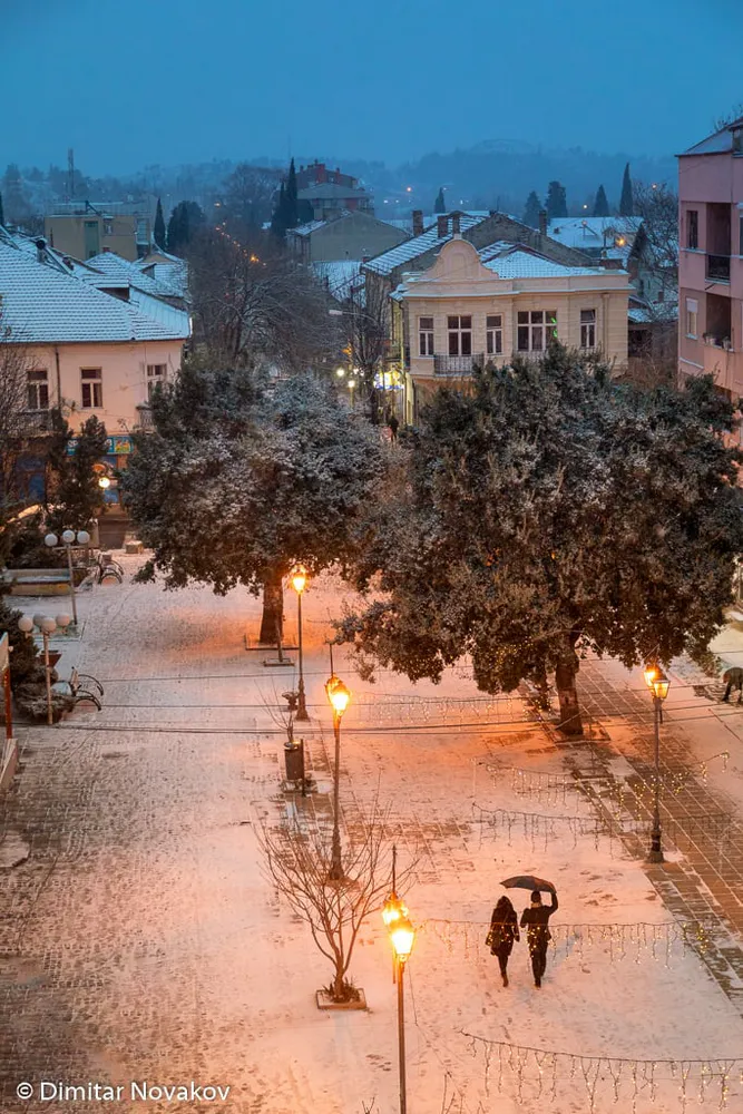 Dimitar Novakov - photo 2