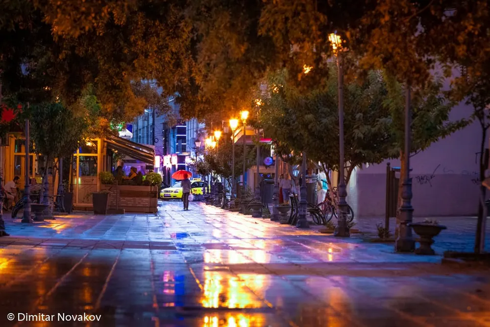 Dimitar Novakov - photo 4