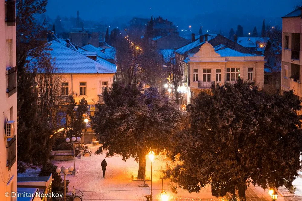 Dimitar Novakov - photo 6