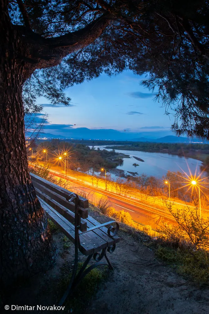 Dimitar Novakov - photo 7