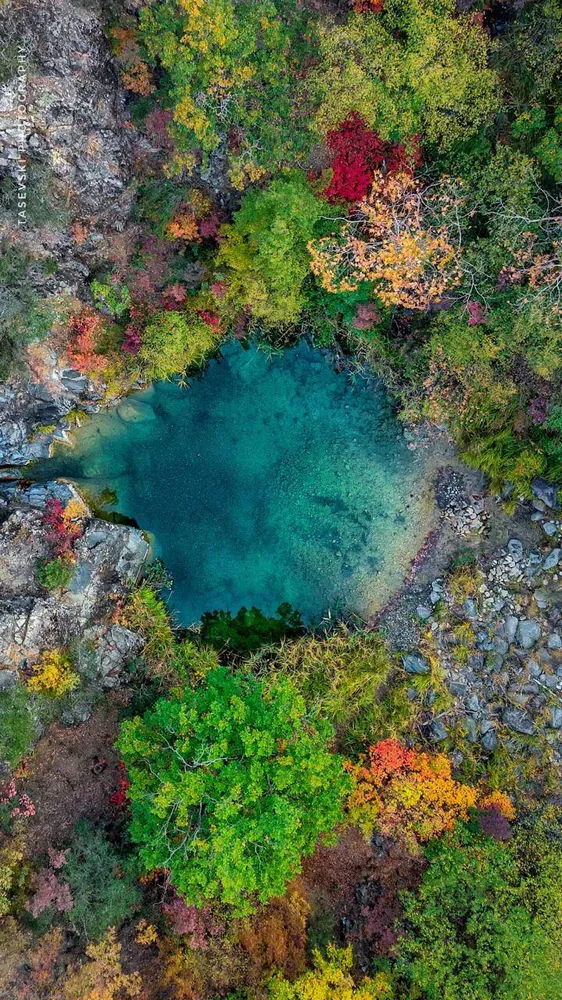 Goce Tasevski - photo 6