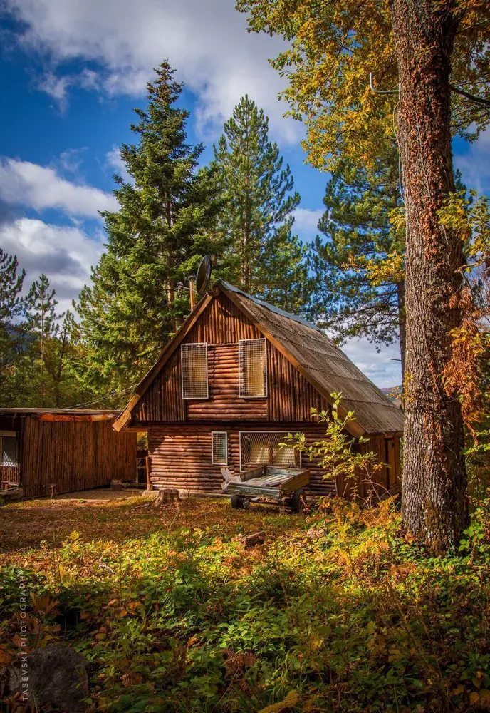 Goce Tasevski - photo 7