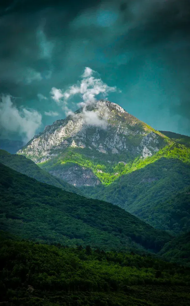 Goce Tasevski - photo 9