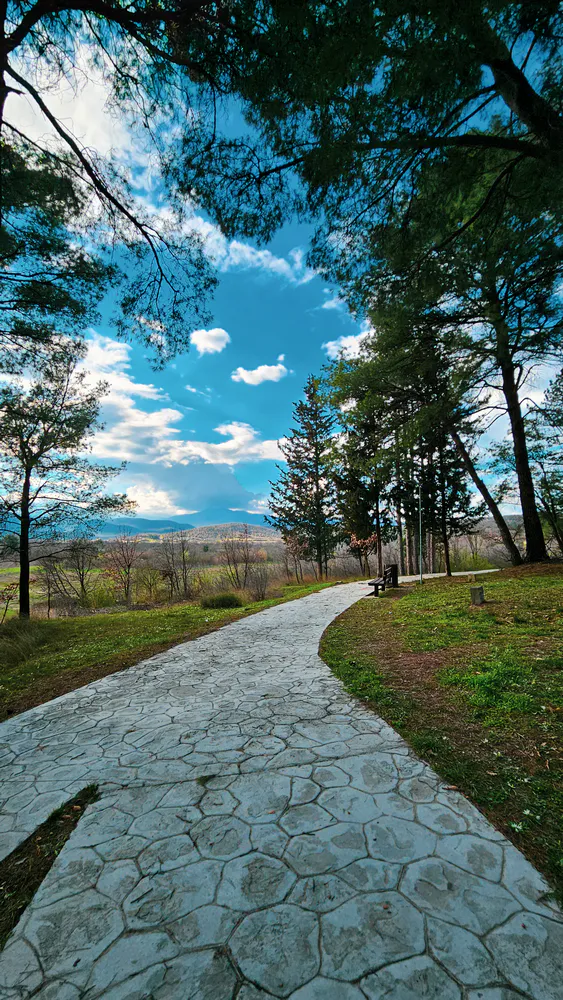 Stefani Brlamova - photo 10