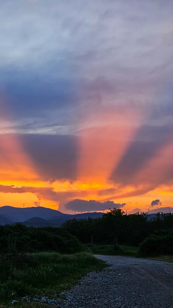 Stefani Brlamova - photo 9