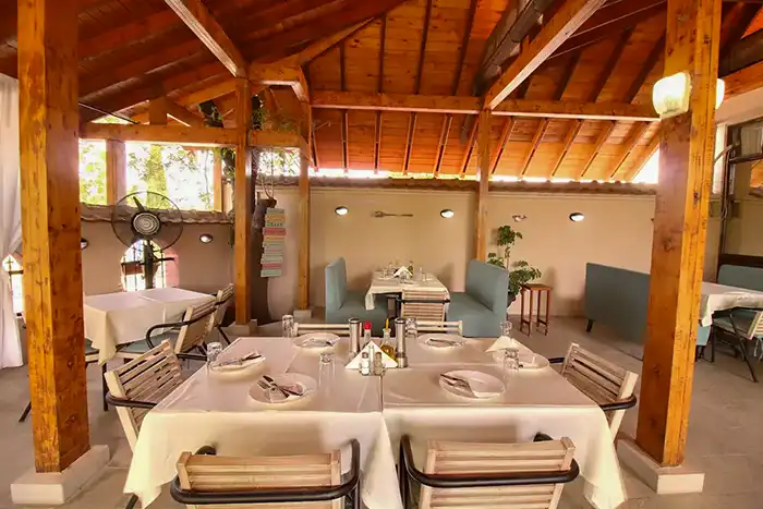 Јавор Агапи thumbnail 13