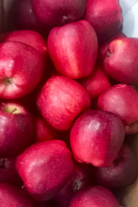 Пиљара Еленче thumbnail 10