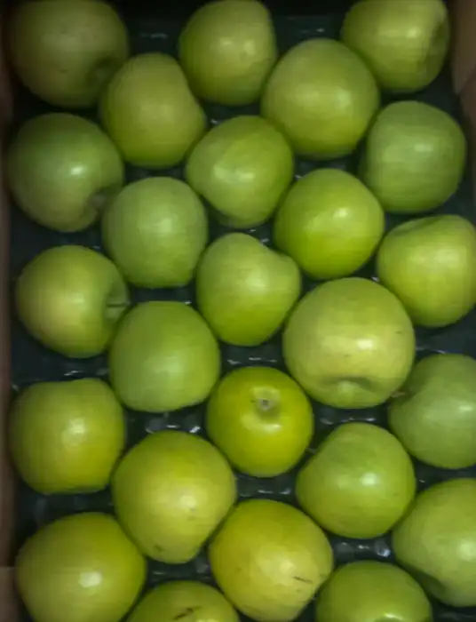 Пиљара Еленче thumbnail 5