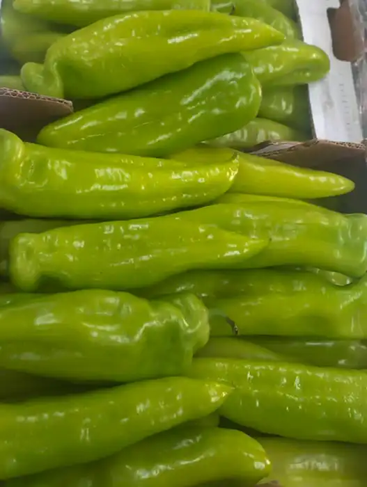 Пиљара Еленче thumbnail 8